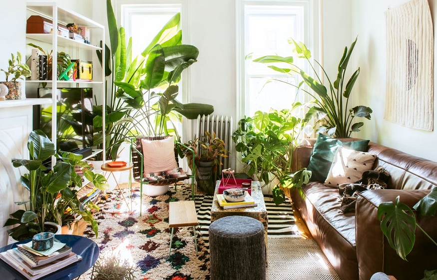 Decorating with plants