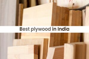 Best Plywood