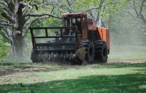 Glen Rose land clearing